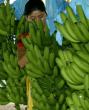 Costa Rica and US Tariffs: Risk or Opportunity?