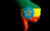 Ethiopia’s HE sector is contracting. What should be done?