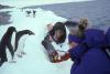 Hell is other tourists in Antarctica