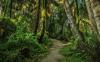 Hiking spots to check out on Guam