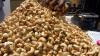 Cashew farmers decry exploitation, foreign interference