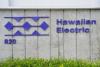 Kokua Line: Does Hawaiian Electric have solar partner?