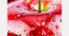 Moldovan apples enter Icelandic market for the first time