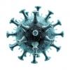 Montana State Scientists Uncover New Insights Into Virus Replication and Infection