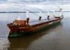 [France Condemns Houthi Missile Attack on Dutch Cargo Ship in Gulf of Aden
