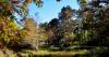 Louisiana Department of Agriculture and Forestry awarded nearly $400k federal grant