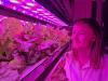 From space science to dinner plates: Reimagining the future of farming indoors