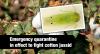 Takes Emergency Action to Protect Texas Agriculture from Invasive Leafhopper Pest