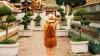 ‘Ten times cheaper’: The Asian countries cashing in on the US’ tourism exodus