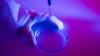 Science Extreme Tech Scientists Successfully Use Skins Cells to Make Human Eggs