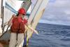 Scientists Trace the Ocean Forces Powering Galapagos Biodiversity
