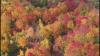 Fall foliage in Connecticut | The colors are coming; here's when and where to see them