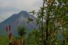Pura Vida Diplomacy: Costa Rica’s Vision for Sustainable Partnerships in the Gulf