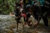 To track a unicorn: Laos team goes all out to find the last saolas