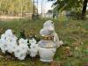 Rental moped rules considered after tragedy in Rīga