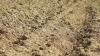 Maine Drought Task Force meets, warns of possible long-term conditions