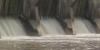 Mississippi Sound Coalition hopes a new proposal keeps the Bonnet Carre Spillway closed