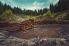 Timber In Montana: Jobs, Fires, And Big Questions
