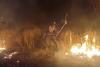 Wildfires consume 38% of Namibia's flagship Etosha National Park