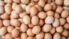 Guyana focuses heavily on production of hatching eggs