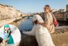 ‘Tourist’ dogs caught up in Europe travel backlash with $2/day anti-poo charge in popular city