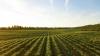 Australia’s New Food Security Strategy: What’s On Table, And What’s Missing?