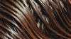Want Stronger, Healthier Hair? Beauty Experts Say This At-Home Treatment Is A Game-Changer