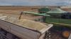 African farms hold the key to global food security