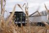 White House Plans More Multi-Billion Dollar Bailouts for Farmers Struggling Due to Trump’s Trade War