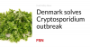 Denmark solves Cryptosporidium outbreak