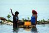 SmartCatch AI : A new tool designed to support Sustainable fishing in Fiji
