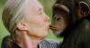 The woman who shaped generations of science and conservation in Africa