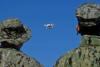 Belgium spots 15 drones over military base near German border