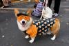 Fall festivals and other things to do in Colorado this weekend