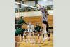 Maine High School Football, Field Hockey, Soccer and Volleyball Scores – October 2
