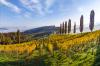 Austria’s DAC system: Three little letters making a big statement