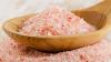 Pakistan’s Himalayan Pink Salt earns international recognition at Belgium summit