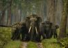 Climate change disrupting patterns of migratory animals—Earth’s early-warning system