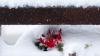 Bulgarian resort floods leave 3 dead, while heavy snow downs Balkan power lines