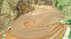 Roghun Dam Project to offset environmental impact through forest restoration