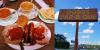 115-year-old Alabama staple, Dobbs BBQ, shuts down in Dothan