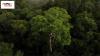 UPSC Essentials | Daily subject-wise quiz : Environment and Geography MCQs on Amazon rainforest, Sir Creek and more (Week 130)