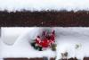 Early snowfall damages power lines and snarls traffic in Bosnia and Serbia (World)