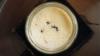 Scientists revive old Bulgarian recipe to make yogurt with ants