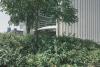 Why Environmental Consulting Is Becoming a Business Imperative?