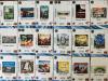 Diverse Environments Rules: A card game about diversity in environmentally-themed board games