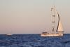 Oman Human Rights Commission condemns attack on “Global Freedom Flotilla”