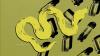 Scientists could soon create a 'universal antivenom.' But would it save lives?