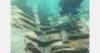 Croatian team uncovers Roman shipwreck with fruit cargo