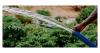 Defying drought across the Sahel